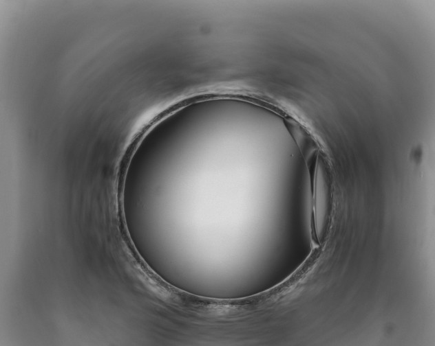 X0000090721176200707271146