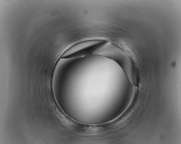 X0000090721177200707271146