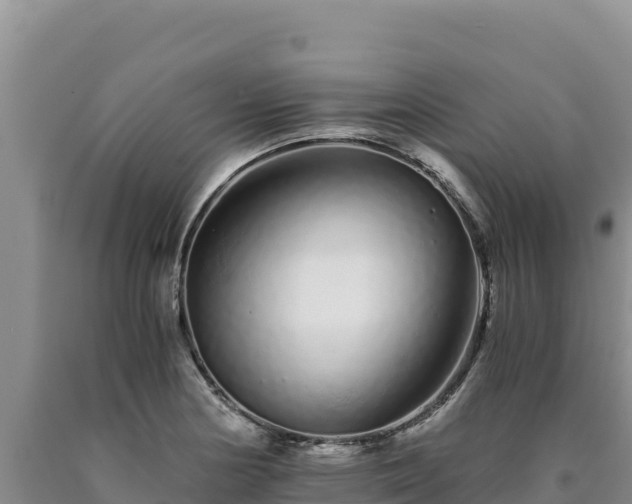 X0000090721178200707271146