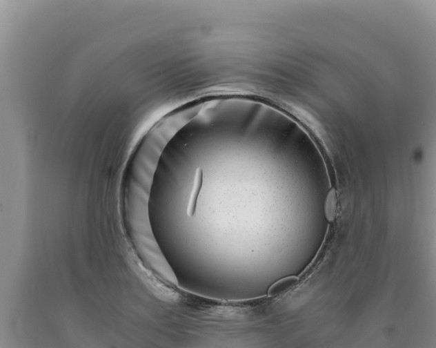 X0000090721179200707271146