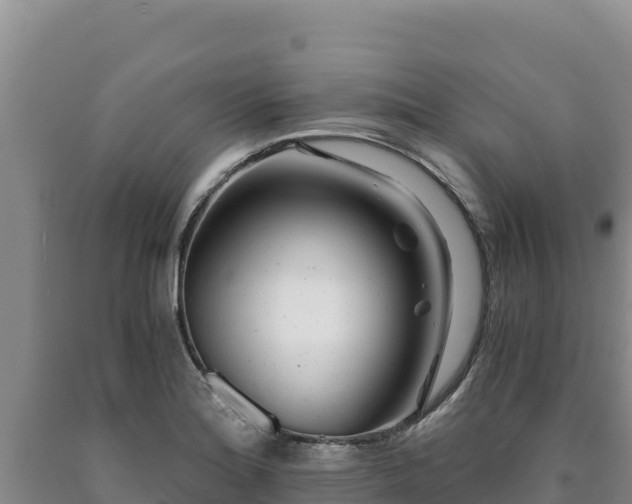 X0000090721180200707271146