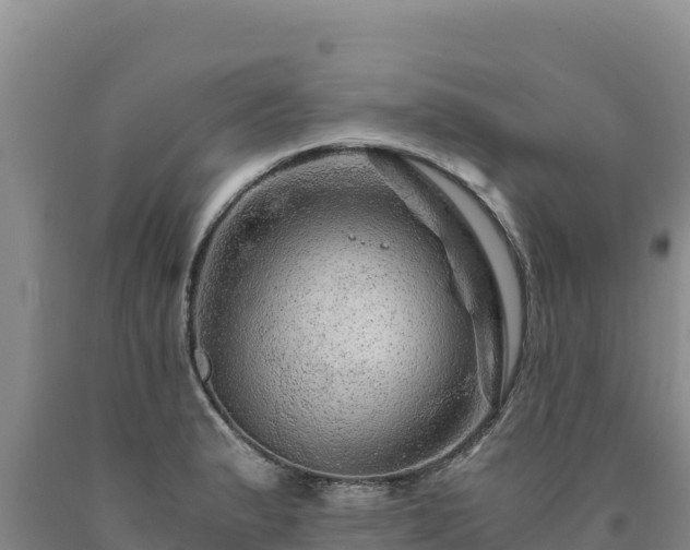 X0000090721183200707271146