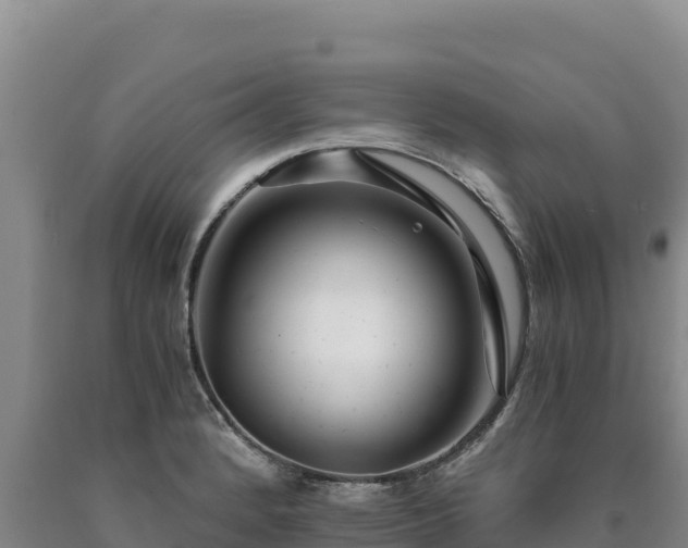 X0000090721184200707271146