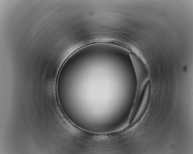 X0000090721186200707271146