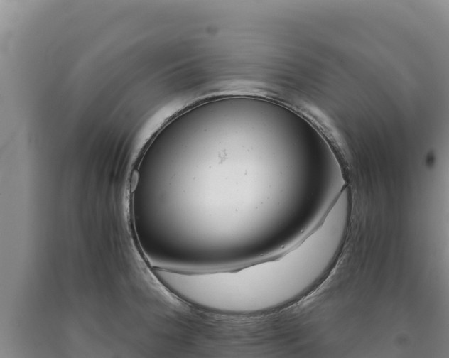 X0000090721188200707271146