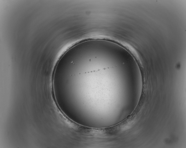 X0000090721191200707271146
