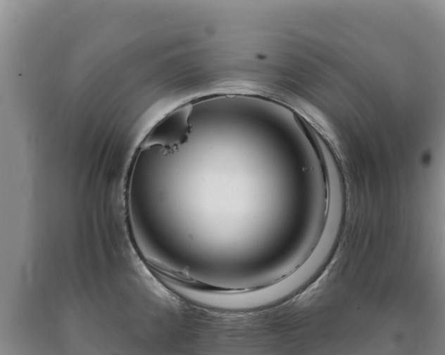 X0000090721192200707271146