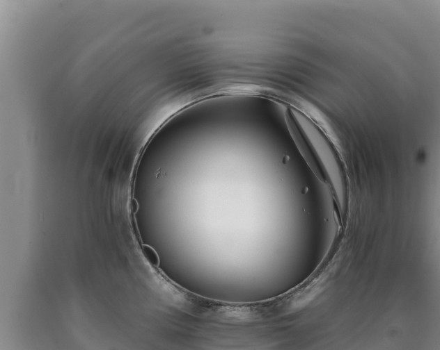 X0000090721194200707271146