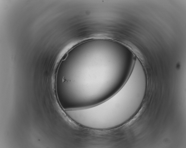 X0000090721196200707271146