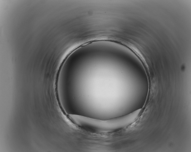 X0000090721197200707271146