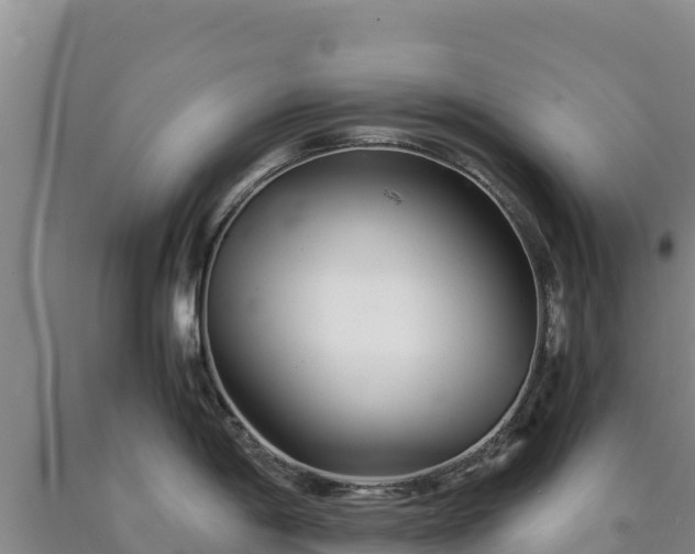 X0000090721198200707271146