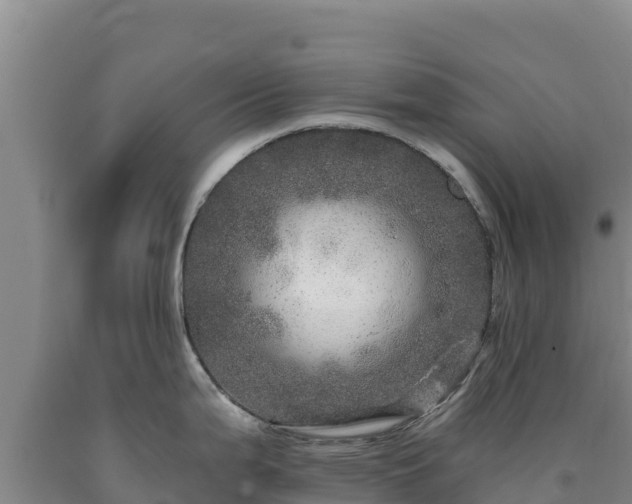 X0000090721199200707271146