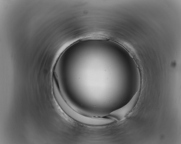 X0000090721200200707271146