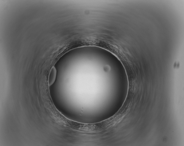 X0000090721201200707271145