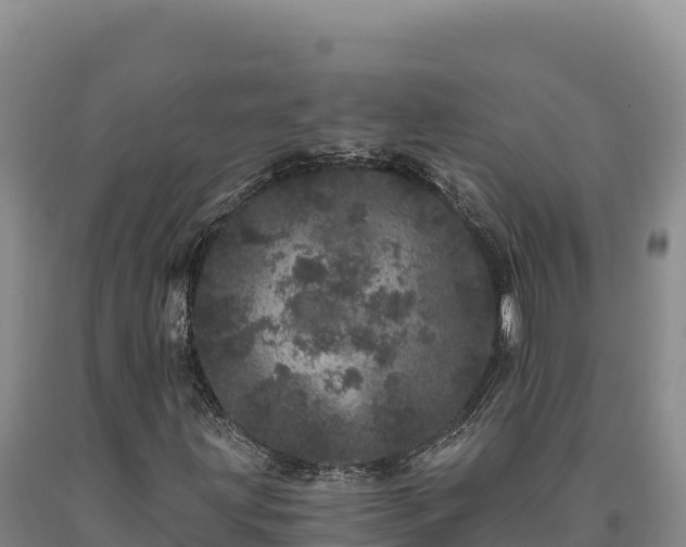 X0000090721203200707271145
