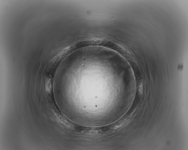 X0000090721204200707271145