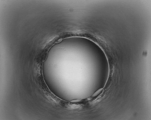 X0000090721205200707271145