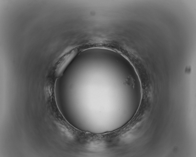 X0000090721206200707271145