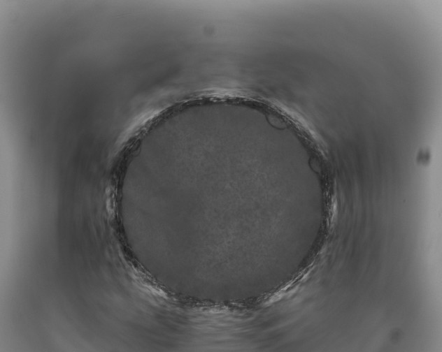 X0000090721207200707271145