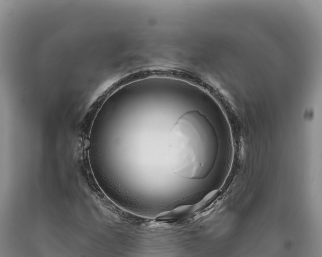 X0000090721208200707271145