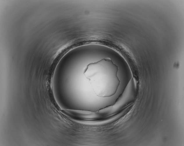 X0000090721210200707271145