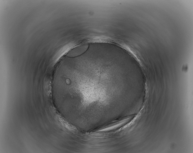 X0000090721211200707271146