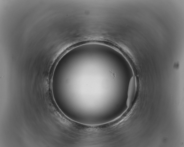 X0000090721212200707271146