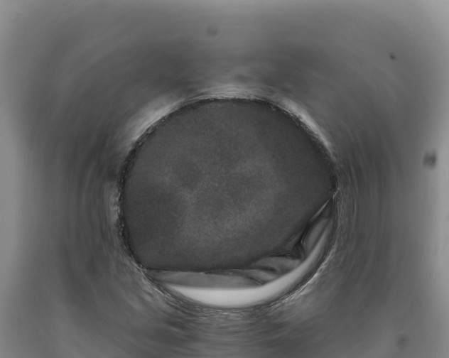 X0000090721213200707271146