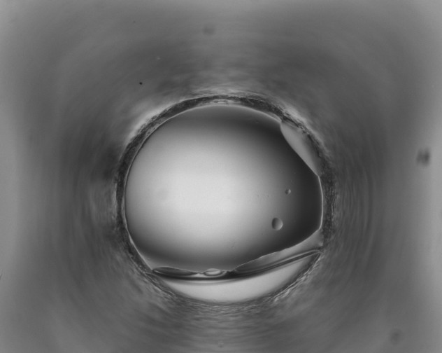X0000090721214200707271146