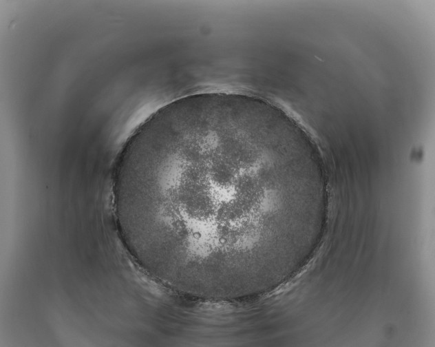 X0000090721215200707271146