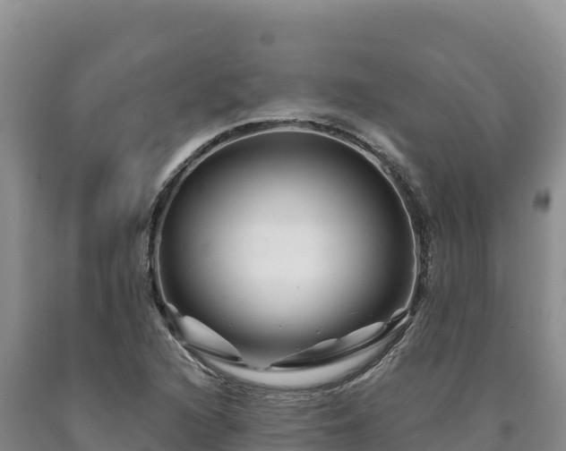 X0000090721216200707271146