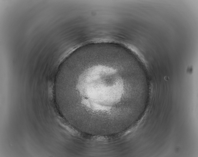 X0000090721217200707271146