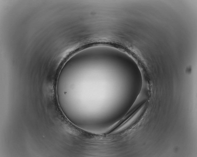 X0000090721218200707271146