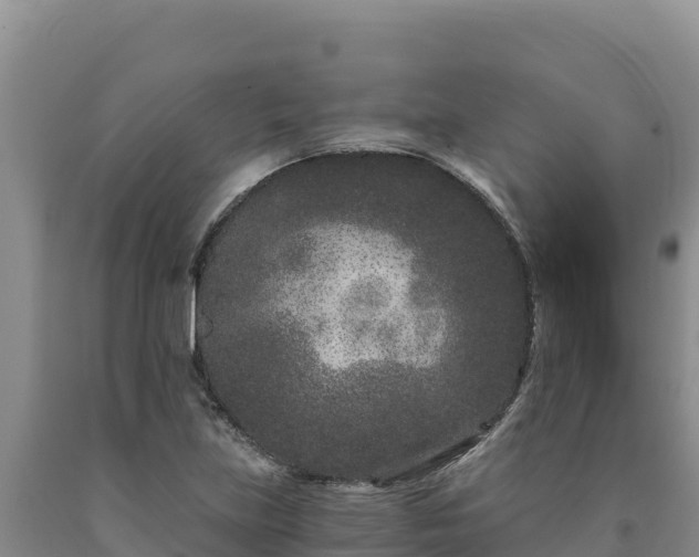 X0000090721219200707271146
