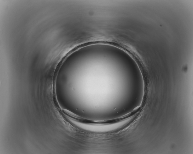 X0000090721220200707271146