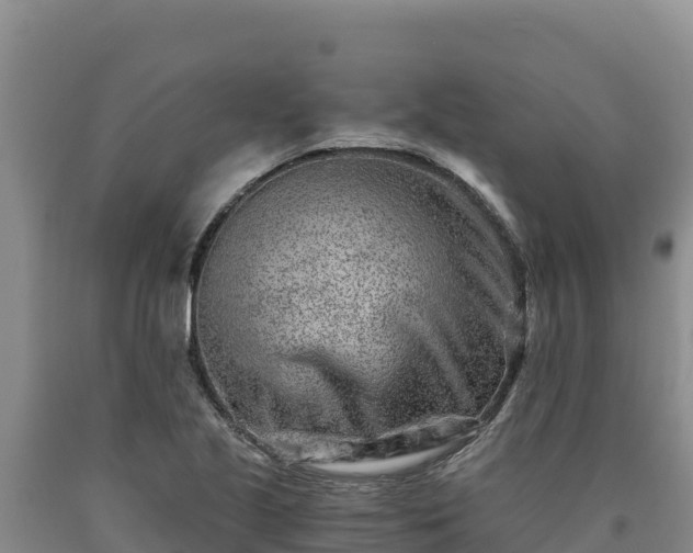X0000090721221200707271146