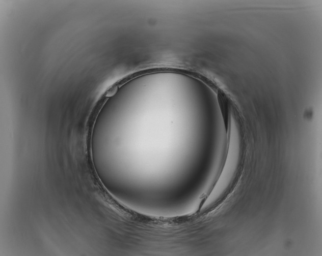 X0000090721222200707271146