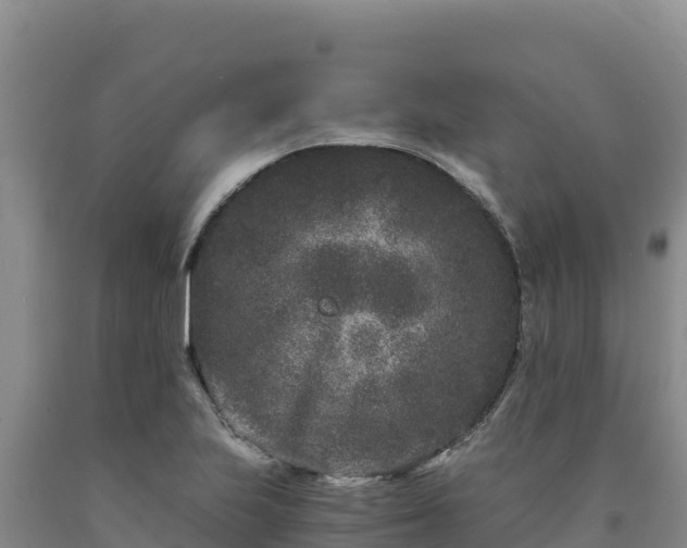X0000090721223200707271146