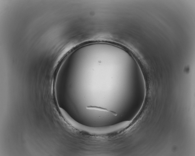 X0000090721224200707271146