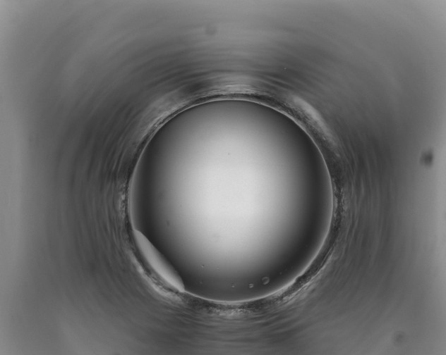 X0000090721225200707271146