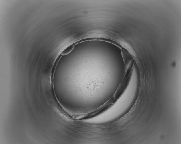 X0000090721226200707271146