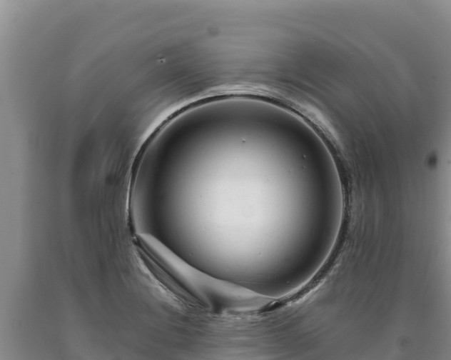 X0000090721228200707271146