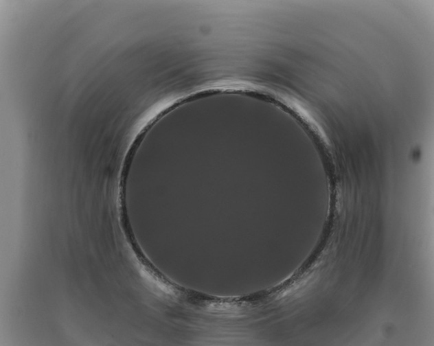 X0000090721229200707271146