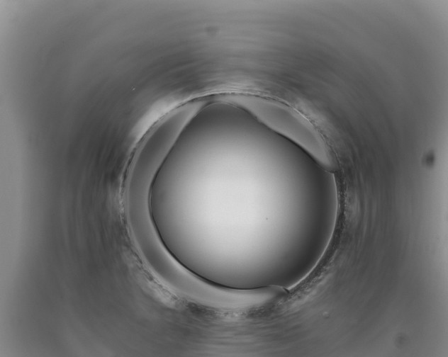 X0000090721230200707271146