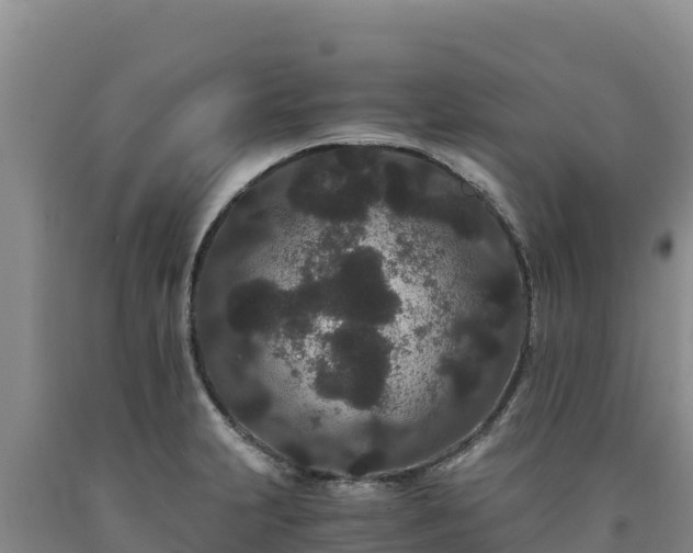 X0000090721231200707271146