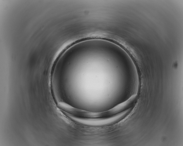 X0000090721232200707271146