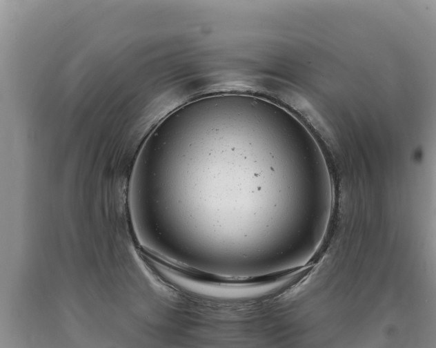 X0000090721233200707271146