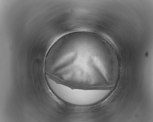 X0000090721236200707271146