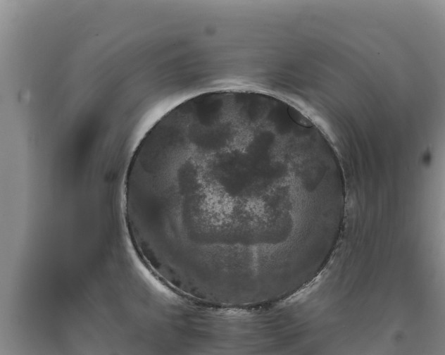 X0000090721239200707271146