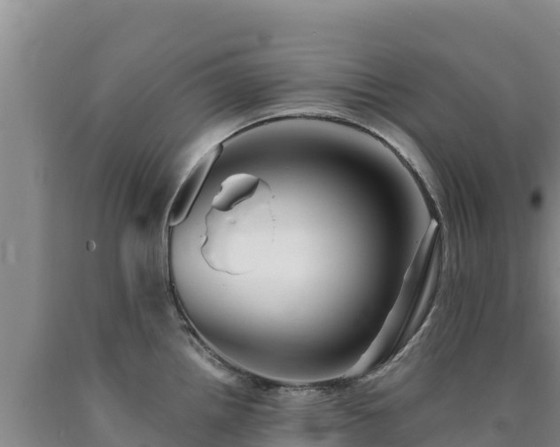 X0000090721242200707271146
